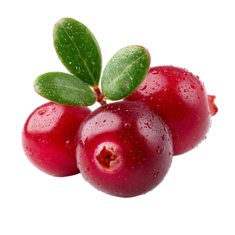 Lingonberry Close-Up Vinyl Car Decal Sticker – Waterproof & UV-Resistant 6.826666666666667"