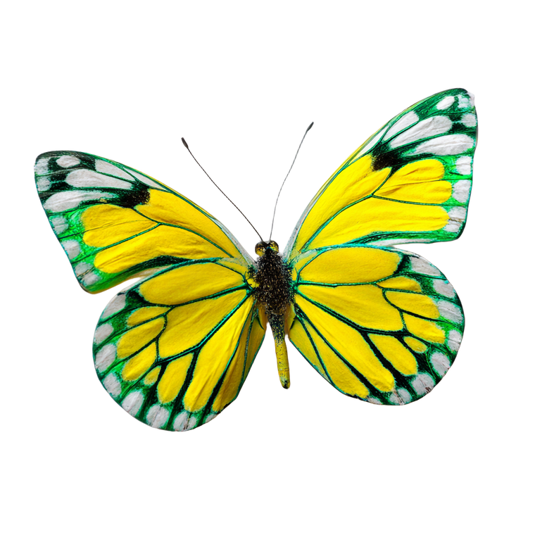 Mondrian Butterfly Vinyl Car Decal Sticker – Waterproof & UV-Resistant 6.826666666666667"