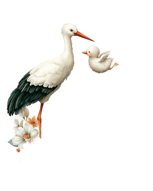 Stork Delivering Baby V2 Vinyl Car Decal Sticker – Waterproof & UV-Resistant 4.0"