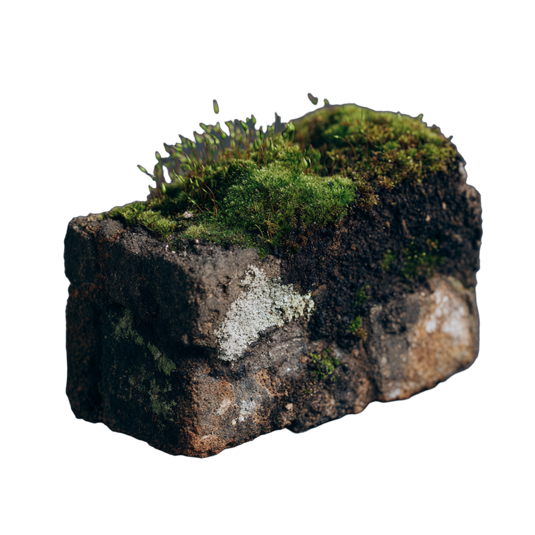 Mossy Dirt Protrusion Vinyl Car Decal Sticker – Waterproof & UV-Resistant 3.4133333333333336"