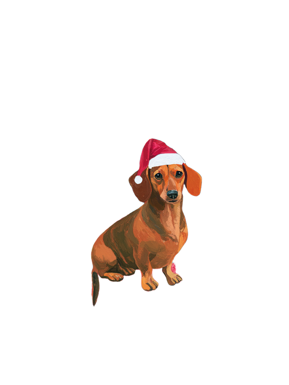 Dachshund In Santa Hat Vinyl Car Decal Sticker – Waterproof & UV-Resistant 8.213333333333333"
