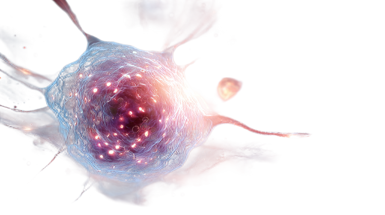 Evolving Immune Cell V2 Vinyl Car Decal Sticker – Waterproof & UV-Resistant 5.4