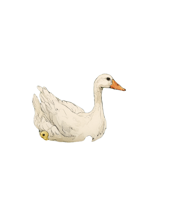 Mother Goose Goslings Vinyl Car Decal Sticker – Waterproof & UV-Resistant 4.0"
