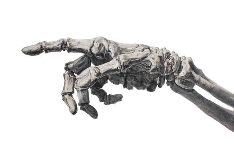 Skeleton Hand Pointing Vinyl Car Decal Sticker – Waterproof & UV-Resistant 5.97333333333333