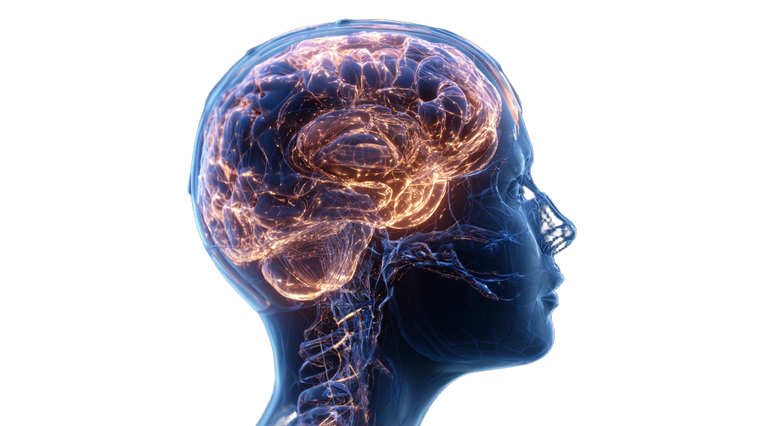 Glowing Brain Profile V3 Vinyl Car Decal Sticker – Waterproof & UV-Resistant 5.4