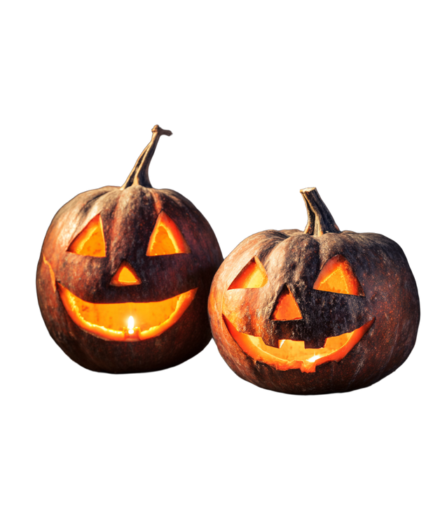 Halloween Pumpkins Display Vinyl Car Decal Sticker – Waterproof & UV-Resistant 8.0"