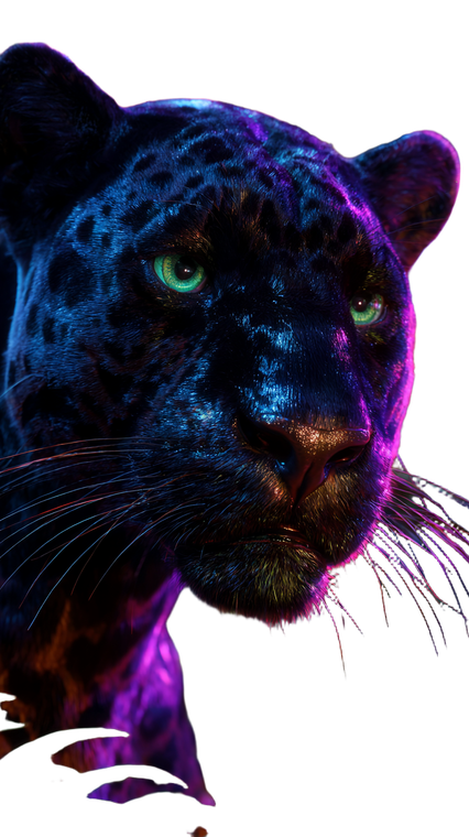 Sleek Black Panther V5 Vinyl Car Decal Sticker – Waterproof & UV-Resistant 9.706666666666667"
