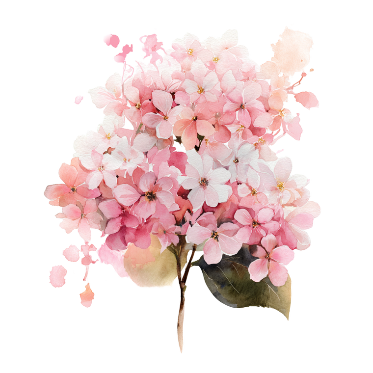 Hydrangea Bouquet Illustration Vinyl Car Decal Sticker – Waterproof & UV-Resistant 3.4133333333333336"