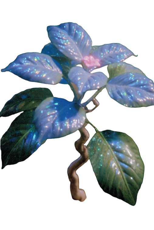 Fantastical Bioluminescent Plant Vinyl Car Decal Sticker – Waterproof & UV-Resistant 8.96"