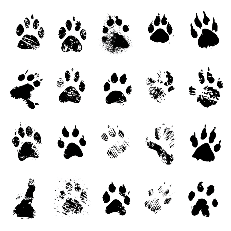 Animal Tracks Silhouette Vinyl Car Decal Sticker – Waterproof & UV-Resistant 6.826666666666667"