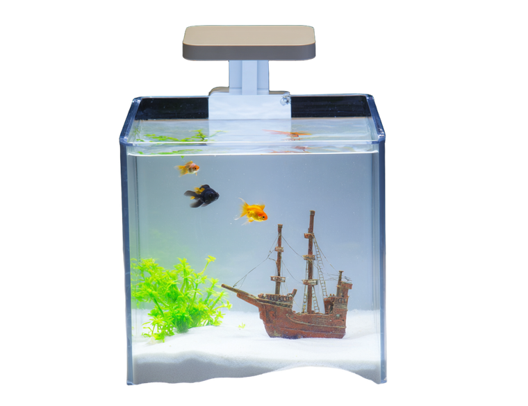 Miniature Fish Tank Vinyl Car Decal Sticker – Waterproof & UV-Resistant 3.2"
