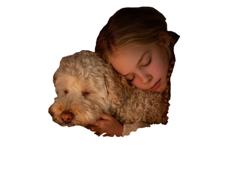 Girl And Dog Sleeping Vinyl Car Decal Sticker – Waterproof & UV-Resistant 6.1866666666666665"