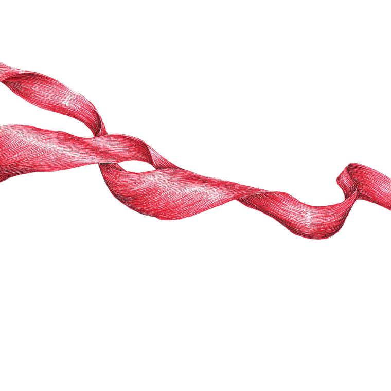Red Ribbon Flowing Vinyl Car Decal Sticker – Waterproof & UV-Resistant 3.4133333333333336"