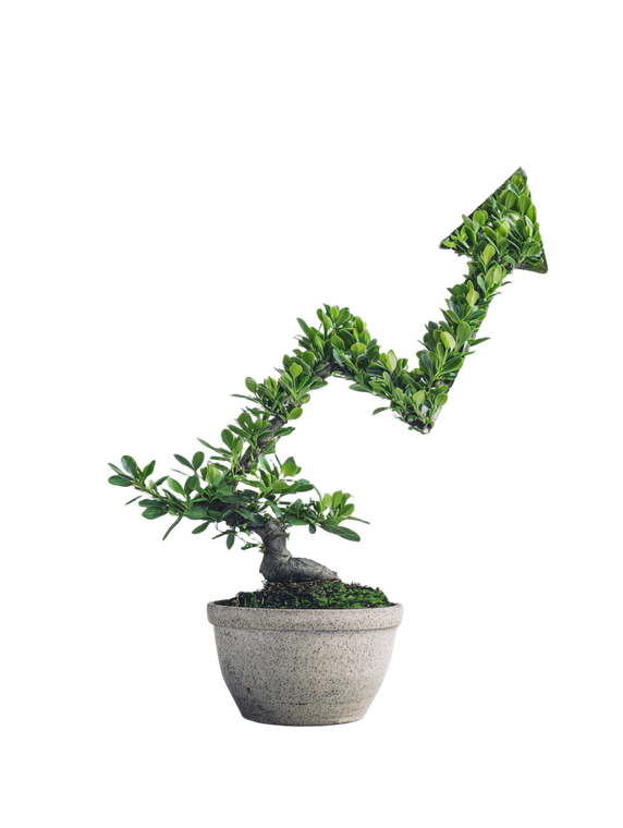 Arrow-Shaped Bonsai Vinyl Car Decal Sticker – Waterproof & UV-Resistant 8.213333333333333"