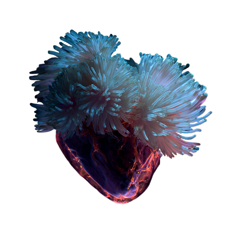 Luminous Anemone Heart Vinyl Car Decal Sticker – Waterproof & UV-Resistant 3.4133333333333336"