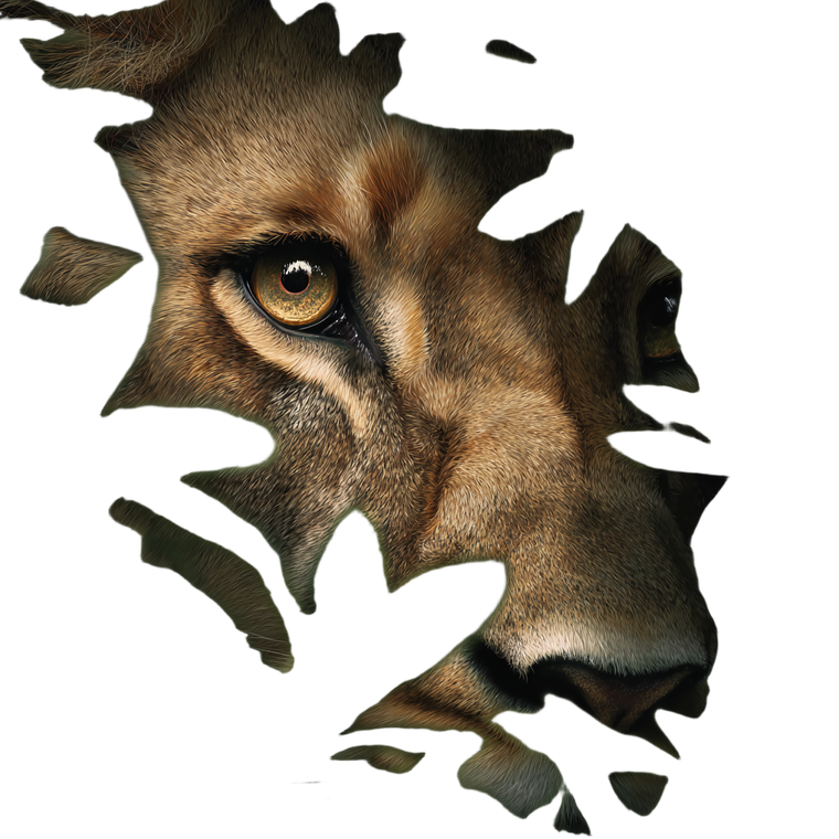 Lioness Eye Vinyl Car Decal Sticker – Waterproof & UV-Resistant 3.4133333333333336"