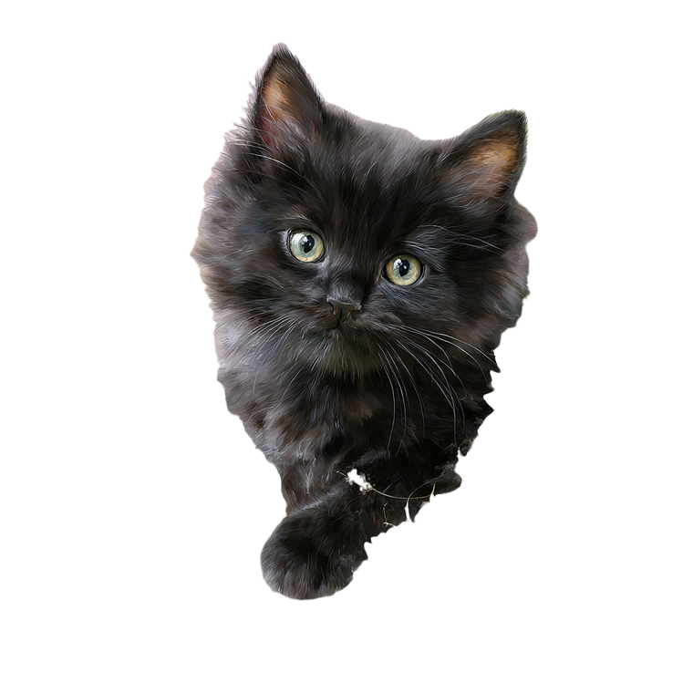 Fluffy Cottagecore Kitten Vinyl Car Decal Sticker – Waterproof & UV-Resistant 6.826666666666667"