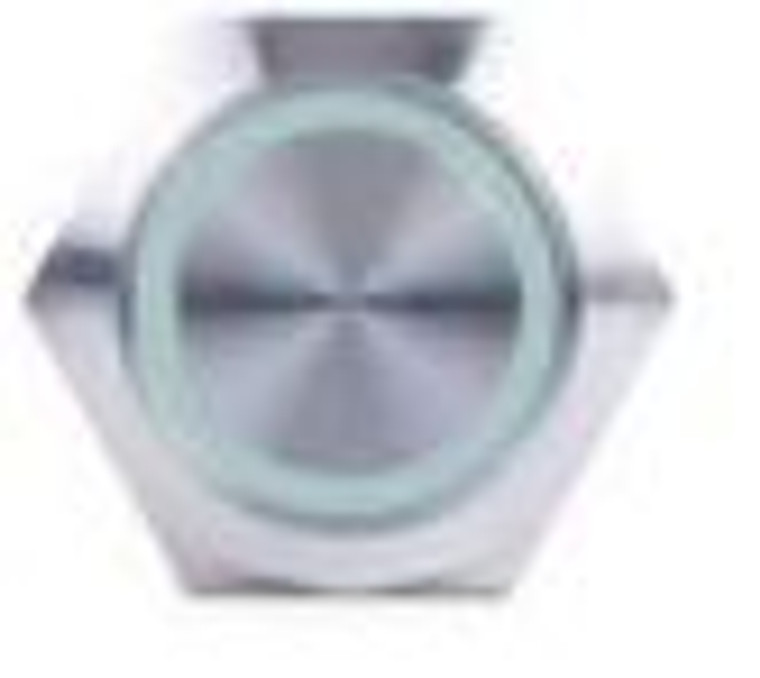Sleek Stainless Steel Marine Push Button Switch | 10A, 12V, Green | Quick Connect, Weatherproof, IP67 Rated