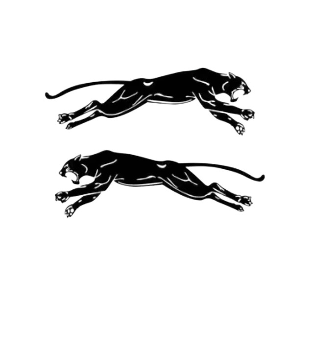 Panther Vinyl Car Decal Sticker – Waterproof & UV-Resistant (3.94" x 1.18")