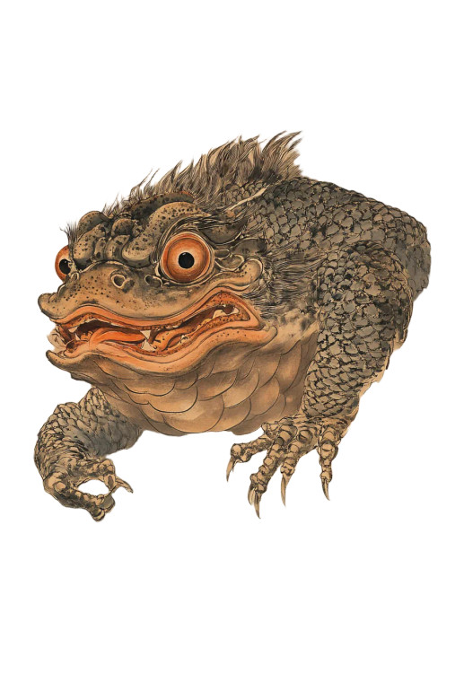 Dragon Toad Mythology Vinyl Car Decal Sticker – Waterproof & UV-Resistant 4.0"