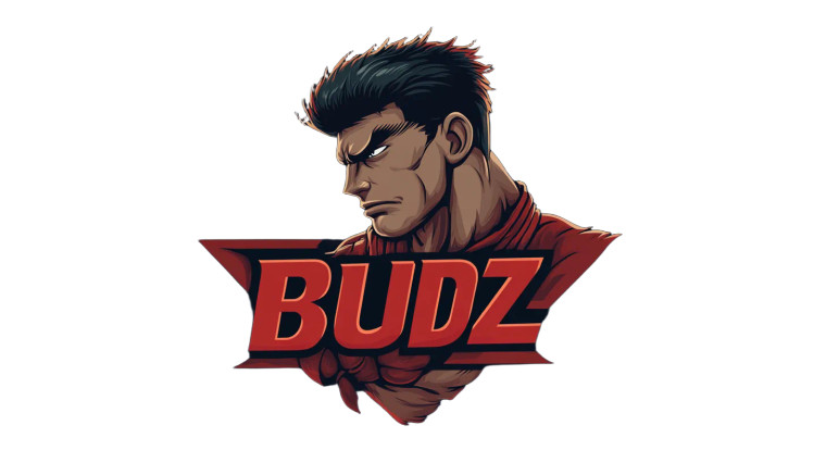 Budz Street Fighter Logo Vinyl Car Decal Sticker – Waterproof & UV-Resistant 7.14"