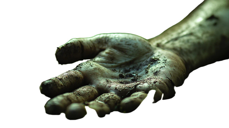 Hand Grass Close Up Vinyl Car Decal Sticker – Waterproof & UV-Resistant 7.14"