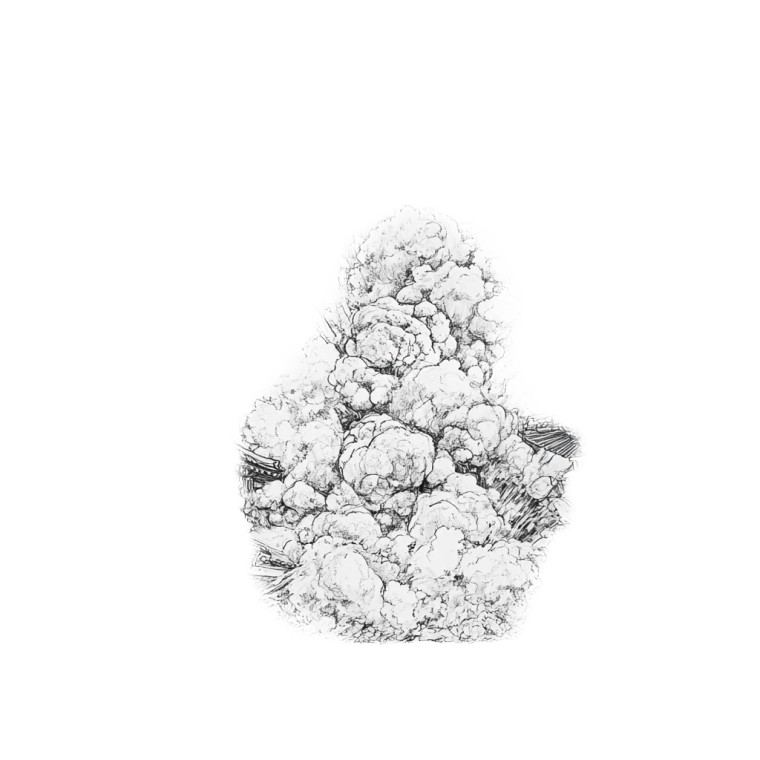 Paekgyo Explosion Drawing Vinyl Car Decal Sticker – Waterproof & UV-Resistant 4.0"