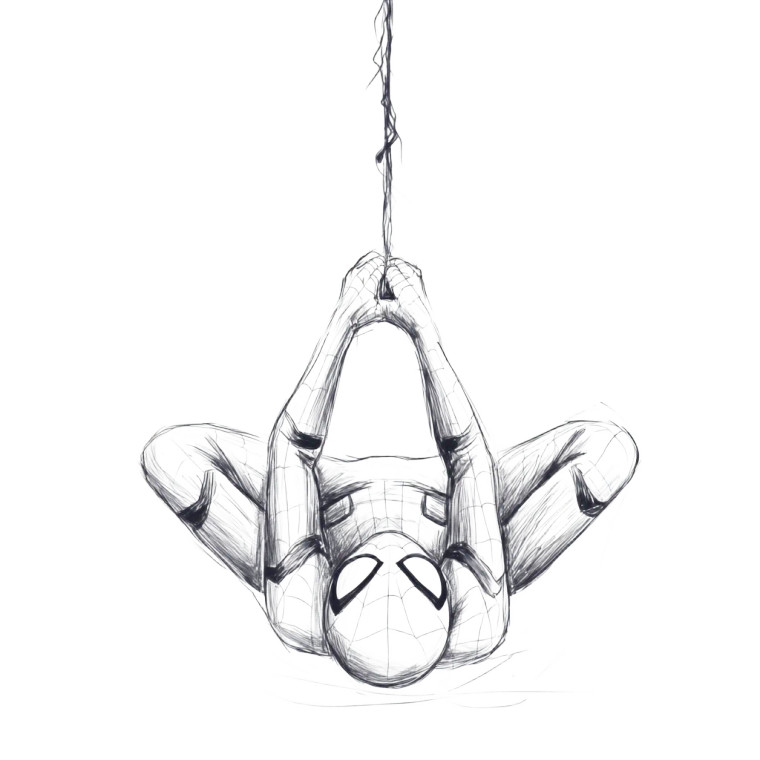 Spiderman Upside Down Net Vinyl Car Decal Sticker – Waterproof & UV-Resistant 4.0"