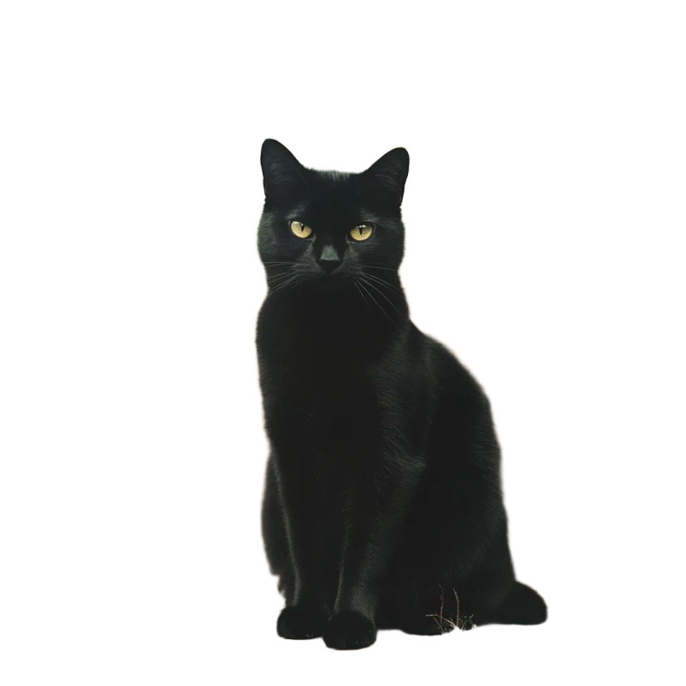 Black Cat Witch House Vinyl Car Decal Sticker – Waterproof & UV-Resistant 4.0"