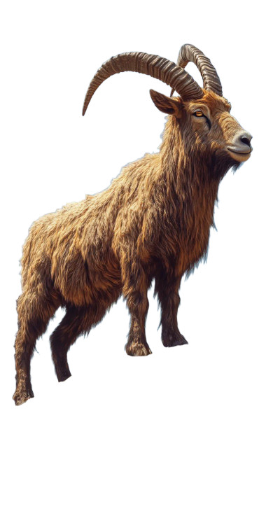 Brown Capricorn Rock Realistic Vinyl Car Decal Sticker – Waterproof & UV-Resistant 4.0"