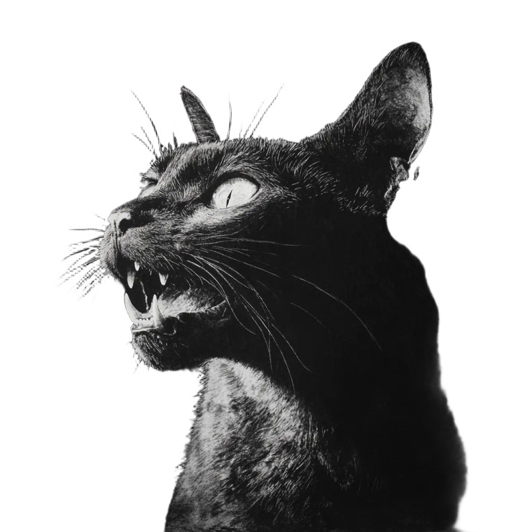 Cat Nosferatu Vinyl Car Decal Sticker – Waterproof & UV-Resistant 4.0"