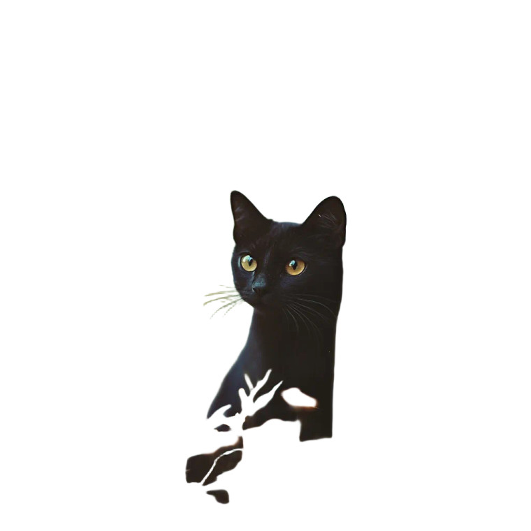 Cat Wall Flowers Autumn Vinyl Car Decal Sticker – Waterproof & UV-Resistant 4.0"