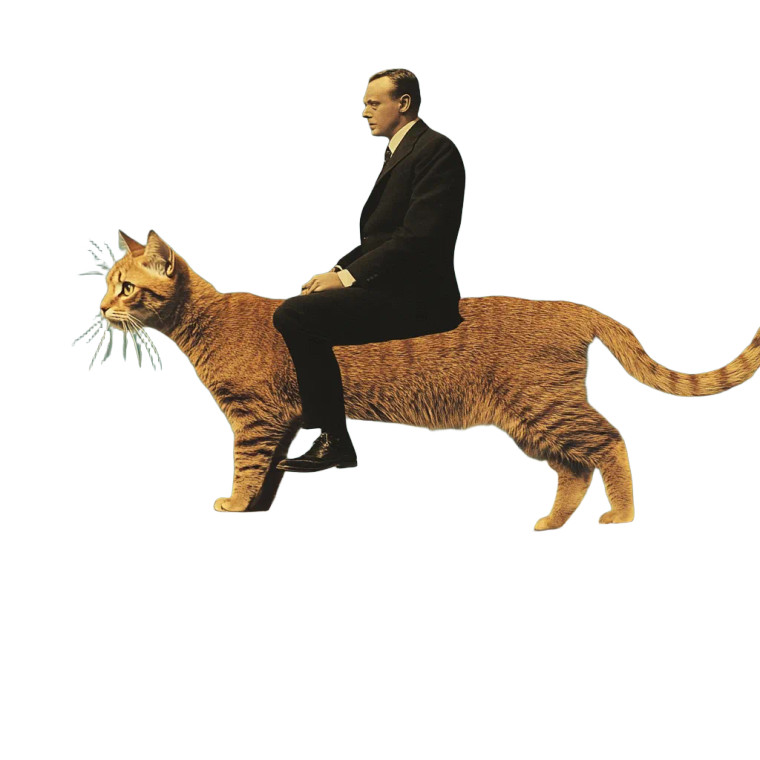 Eccentric Man Giant Cat Vinyl Car Decal Sticker – Waterproof & UV-Resistant 4.0"