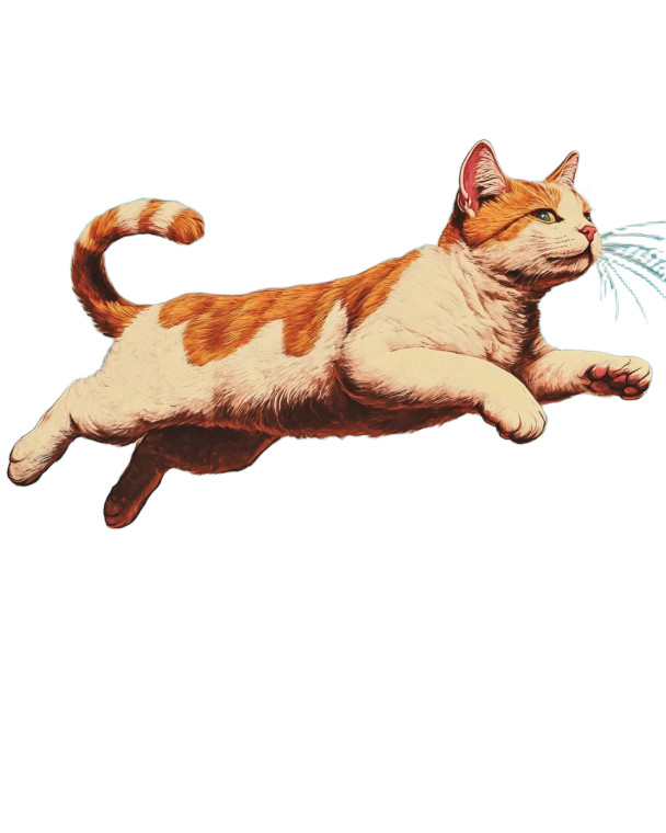 Flying Cat Vinyl Car Decal Sticker – Waterproof & UV-Resistant 4.0"