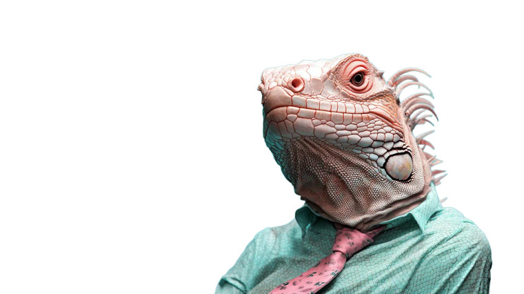 Human Iguana Transparent Shirt Vinyl Car Decal Sticker – Waterproof & UV-Resistant 7.14"