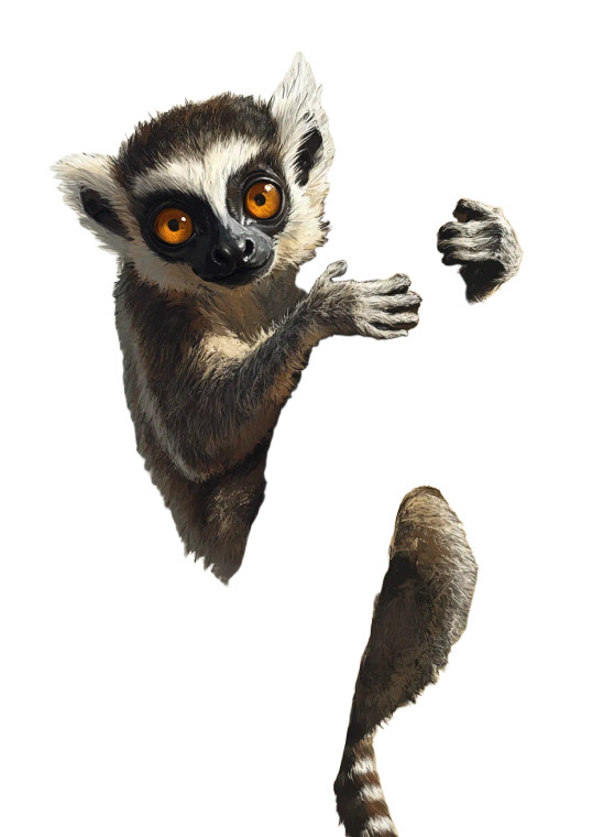 Lemur Climbing Tree Vinyl Car Decal Sticker – Waterproof & UV-Resistant 4.0"