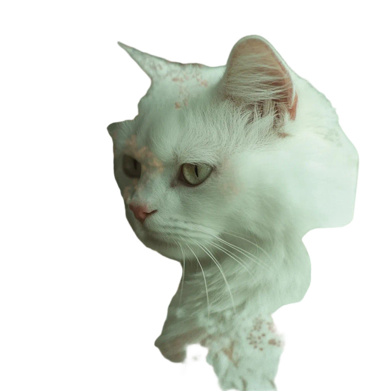 Lost Cat Female Vinyl Car Decal Sticker – Waterproof & UV-Resistant 4.0"