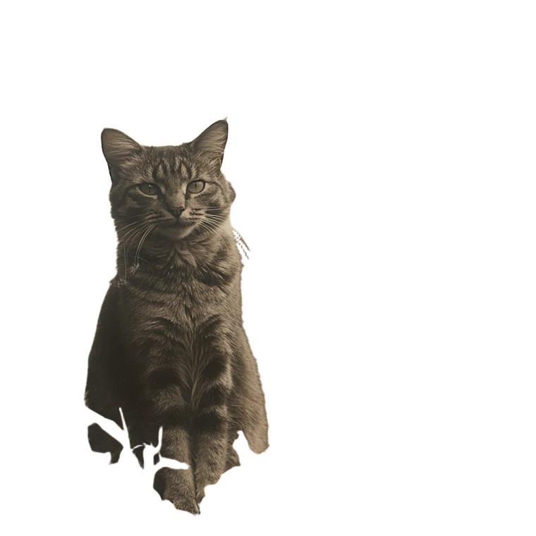 Old Farm Cat Vinyl Car Decal Sticker – Waterproof & UV-Resistant 4.0"