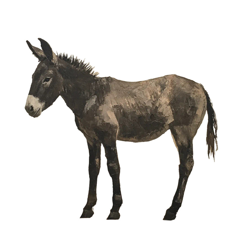 Side View Donkey Vinyl Car Decal Sticker – Waterproof & UV-Resistant 4.0"