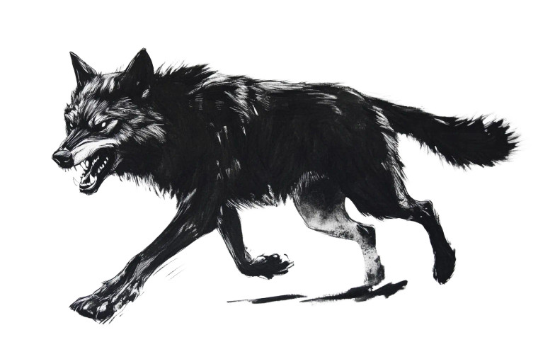 Angry Black Wolf Running Vinyl Car Decal Sticker – Waterproof & UV-Resistant 6.0"