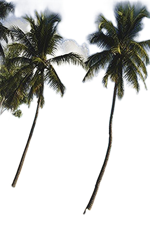 Secluded Beach Aerial View Vinyl Car Decal Sticker – Waterproof & UV-Resistant 4.0"