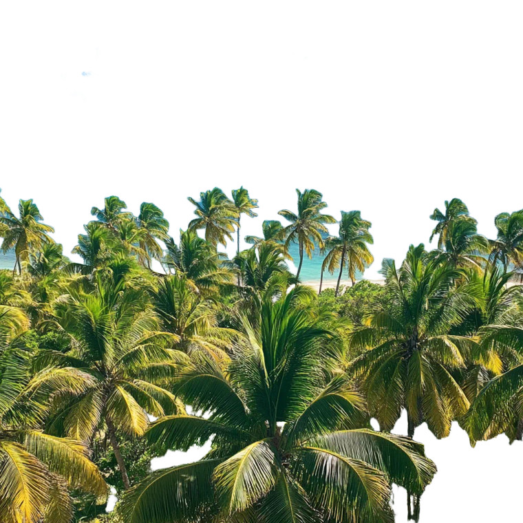 Sunny Blue Sky Palms Vinyl Car Decal Sticker – Waterproof & UV-Resistant 4.0"