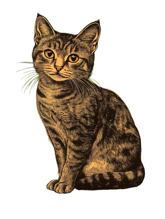 Vintage Mexican Loteria Cat Vinyl Car Decal Sticker – Waterproof & UV-Resistant 4.0"