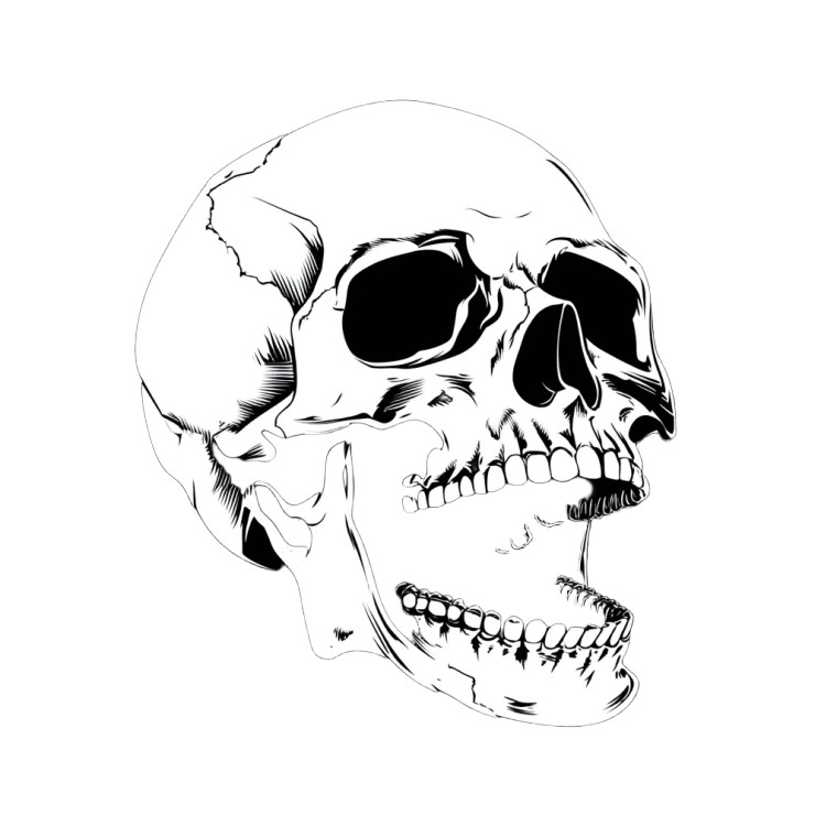 Laughing Skull V2 Vinyl Car Decal Sticker – Waterproof & UV-Resistant 8"