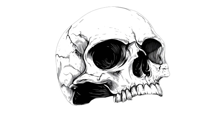 Cool White Skull Vinyl Car Decal Sticker – Waterproof & UV-Resistant 8"