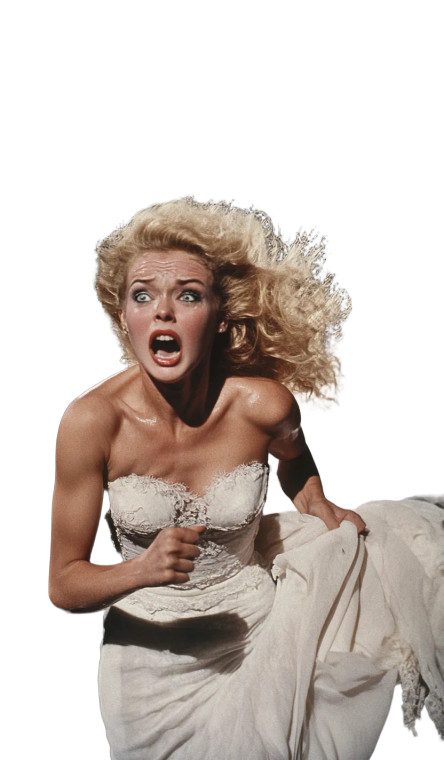 Bride In Peril Vinyl Car Decal Sticker – Waterproof & UV-Resistant 8"