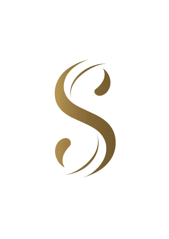 Minimalist S Logo V4 Vinyl Car Decal Sticker – Waterproof & UV-Resistant 8"