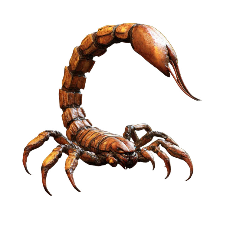 Scorpion Tail Vinyl Car Decal Sticker – Waterproof & UV-Resistant 8" Scorpion Tail Vinyl Car Decal Sticker – Waterproof & UV-Resistant 8"