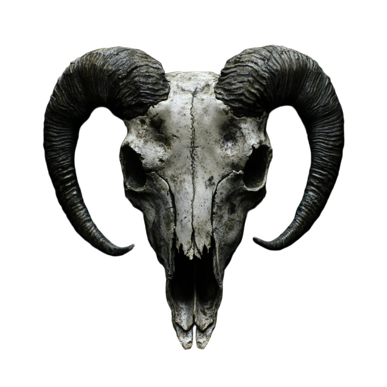Evil Lamb Skull Vinyl Car Decal Sticker – Waterproof & UV-Resistant 8"