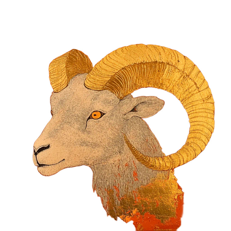 Golden Ram Head V2 Vinyl Car Decal Sticker – Waterproof & UV-Resistant 8"